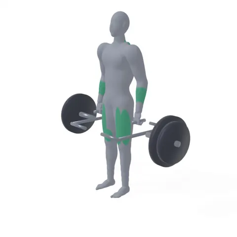 Trap Bar Deadlift with High Handles demo