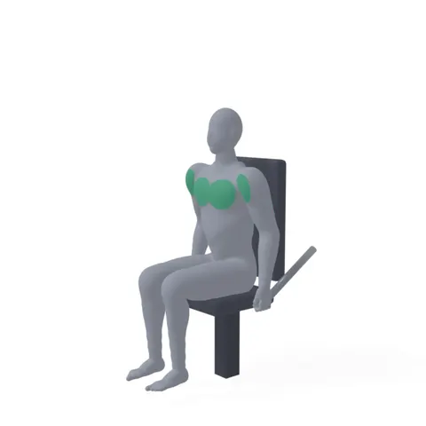 Tricep Press demo