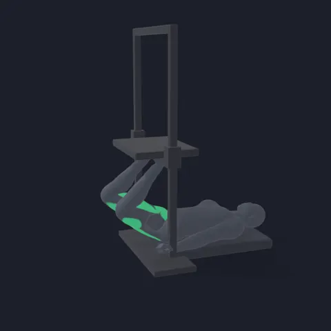 Vertical Leg Press demo
