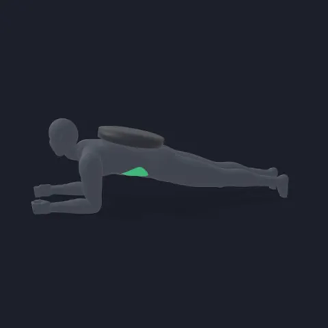 Weighted Plank demo
