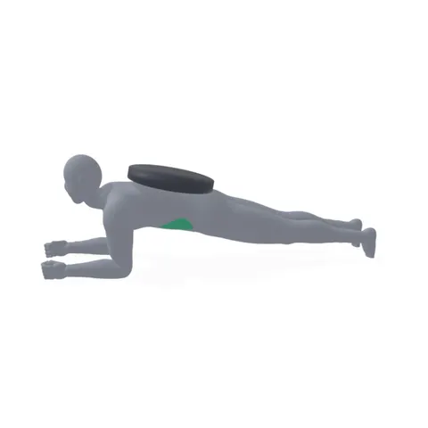 Weighted Plank demo