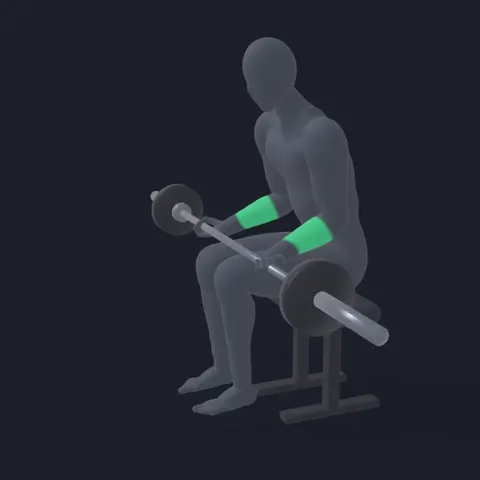 Barbell Wrist Curl demo