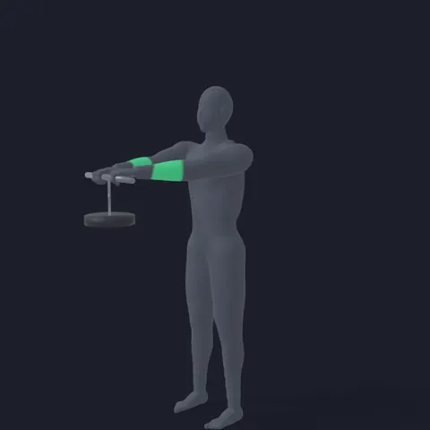 Wrist Roller demo