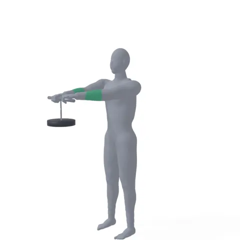 Wrist Roller demo